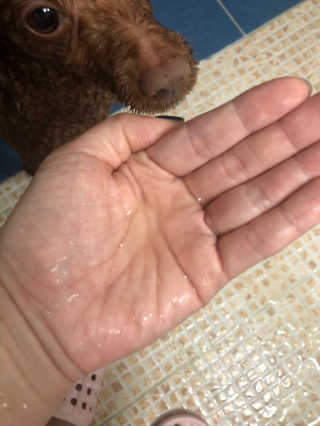라떼떼님이 올린 리뷰 사진 2