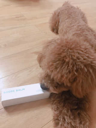 토끼줌마님이 올린 리뷰 사진 4