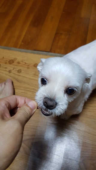 이다경님이 올린 리뷰 사진 3