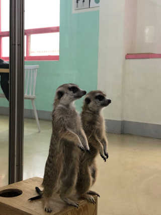 바니짱님이 올린 리뷰 사진 1