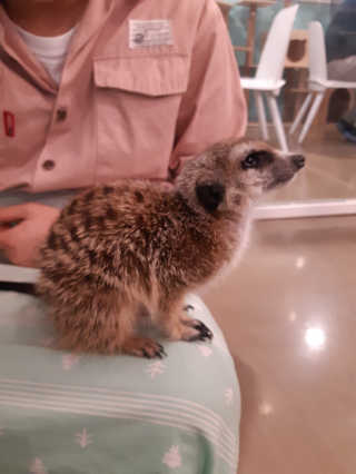 unha님이 올린 리뷰 사진 2