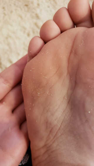 fellica님이 올린 리뷰 사진 3