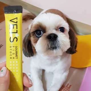 초코곤듀님이 올린 리뷰 사진 1