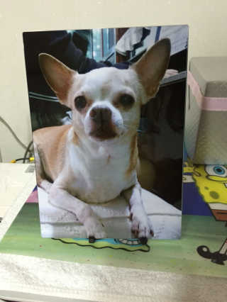 박지혜님이 올린 리뷰 사진 1