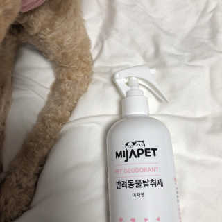아몽이님이 올린 리뷰 사진 2