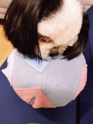 heimish님이 올린 리뷰 사진 2