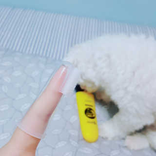 영히님이 올린 리뷰 사진 1