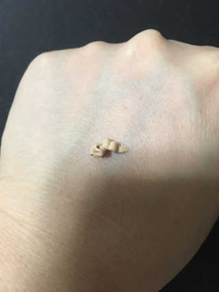 nono님이 올린 리뷰 사진 2