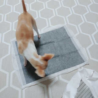 황이님이 올린 리뷰 사진 3