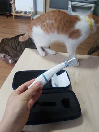 헐크갱크🌱님이 올린 리뷰 사진 1