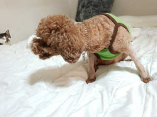 PX3LUV님이 올린 리뷰 사진 3