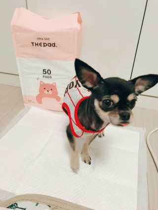 Rany님이 올린 리뷰 사진 4