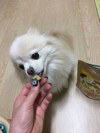 배유미님이 올린 리뷰 사진 2