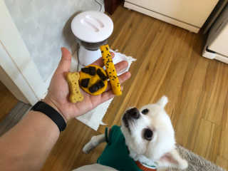 inflower님이 올린 리뷰 사진 3