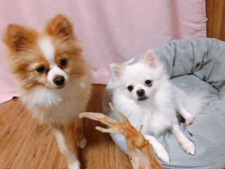 영블리님이 올린 리뷰 사진 2