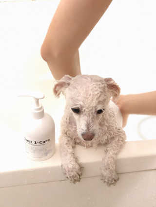 토랑이님이 올린 리뷰 사진 2