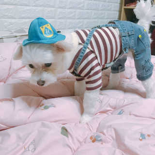 수톨님이 올린 리뷰 사진 1