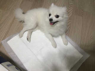 horim님이 올린 리뷰 사진 3