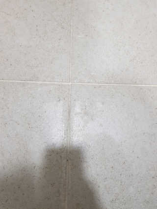 뽀뱅2님이 올린 리뷰 사진 4
