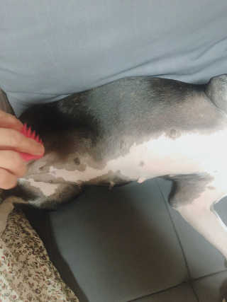 쥬녕님이 올린 리뷰 사진 2