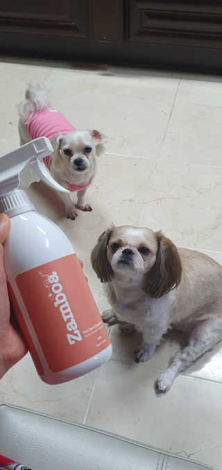 페티앙님이 올린 리뷰 사진 4