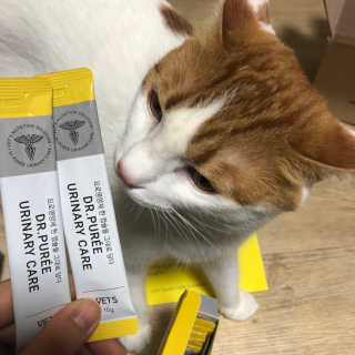 크롱크롱님이 올린 리뷰 사진 2
