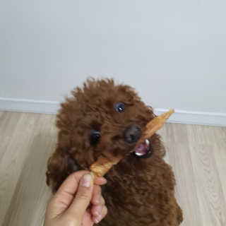 봄찌님이 올린 리뷰 사진 4