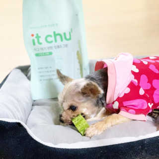 레비올라님이 올린 리뷰 사진 4