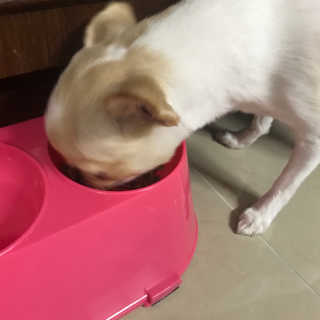 지애님이 올린 리뷰 사진 4