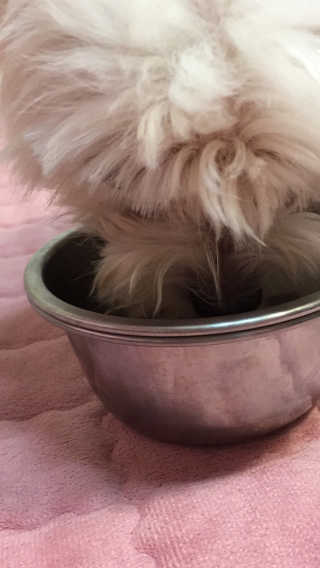 당근님이 올린 리뷰 사진 3