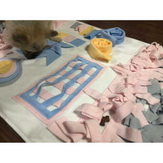 [브루클린펫코] 프리미엄 강아지 수제 쿠키 2종 SET — 4점을 준 리뷰어가 2020년 3월 올린 사용 사진