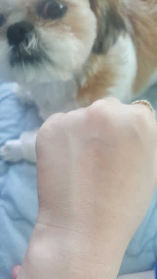 이가은님이 올린 리뷰 사진 2