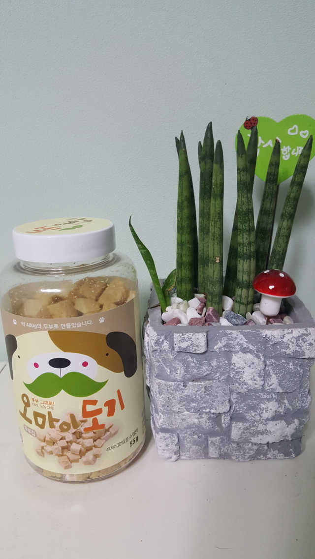 고단백 무첨가 동결건조 두부칩 리뷰 사진