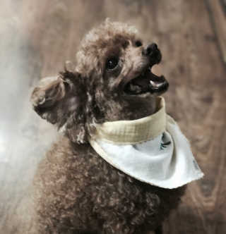 JjEe님이 올린 리뷰 사진 1