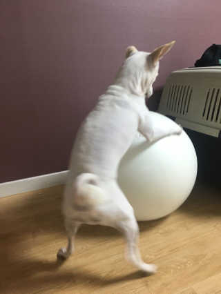 시연님이 올린 리뷰 사진 2