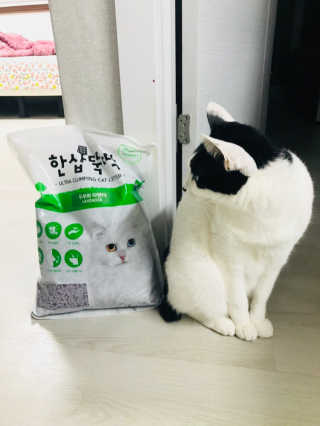 [펫토리아] BEST 고양이두부모래 6L 한삽뚝딱 — 5점을 준 리뷰어가 2018년 12월 올린 사용 사진