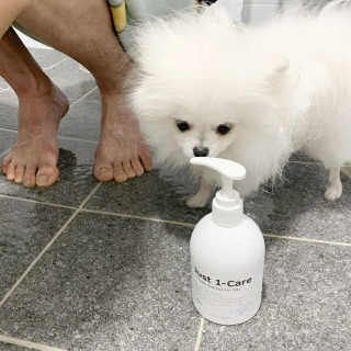 [펫토리아] 뚝딱케어 강아지 고양이 샴푸+미스트 SET — 5점을 준 리뷰어가 2020년 2월 올린 사용 사진