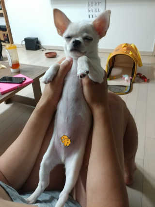 문띠님이 올린 리뷰 사진 2