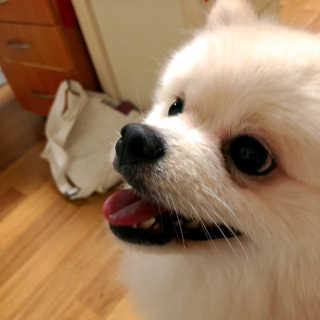 효정님이 올린 리뷰 사진 4