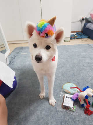 김샛별님이 올린 리뷰 사진 2