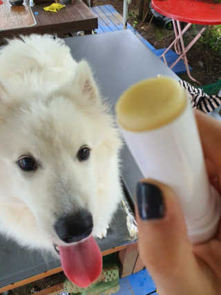 김은둥님이 올린 리뷰 사진 3