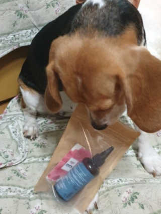beaglelove님이 올린 리뷰 사진 1