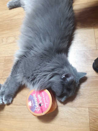빵희님이 올린 리뷰 사진 4