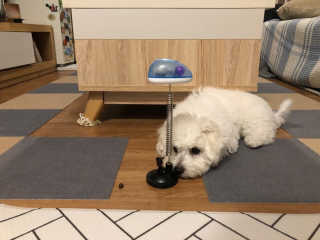 young님이 올린 리뷰 사진 1