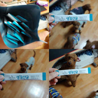 [빙그레] 에버그로 생유산균 1봉（10포입）+펫밀크2팩 — 5점을 준 리뷰어가 2019년 3월 올린 사용 사진