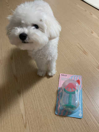Ella님이 올린 리뷰 사진 2