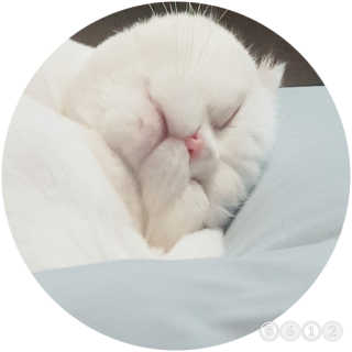 sunny38님이 올린 리뷰 사진 3
