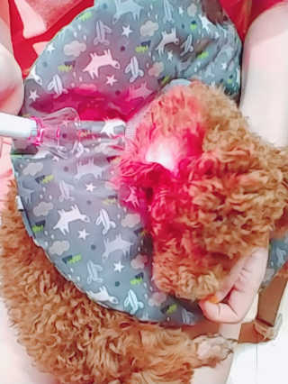 너구리양님이 올린 리뷰 사진 3