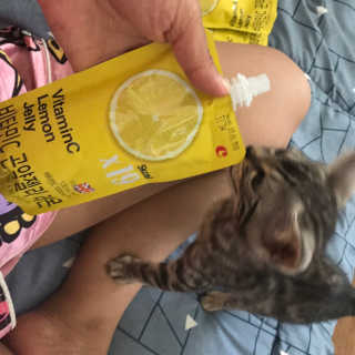김지혜님이 올린 리뷰 사진 2