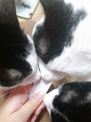 쑈쮸님님이 올린 리뷰 사진 3